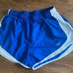 Blue Nike Dry Fit Shorts